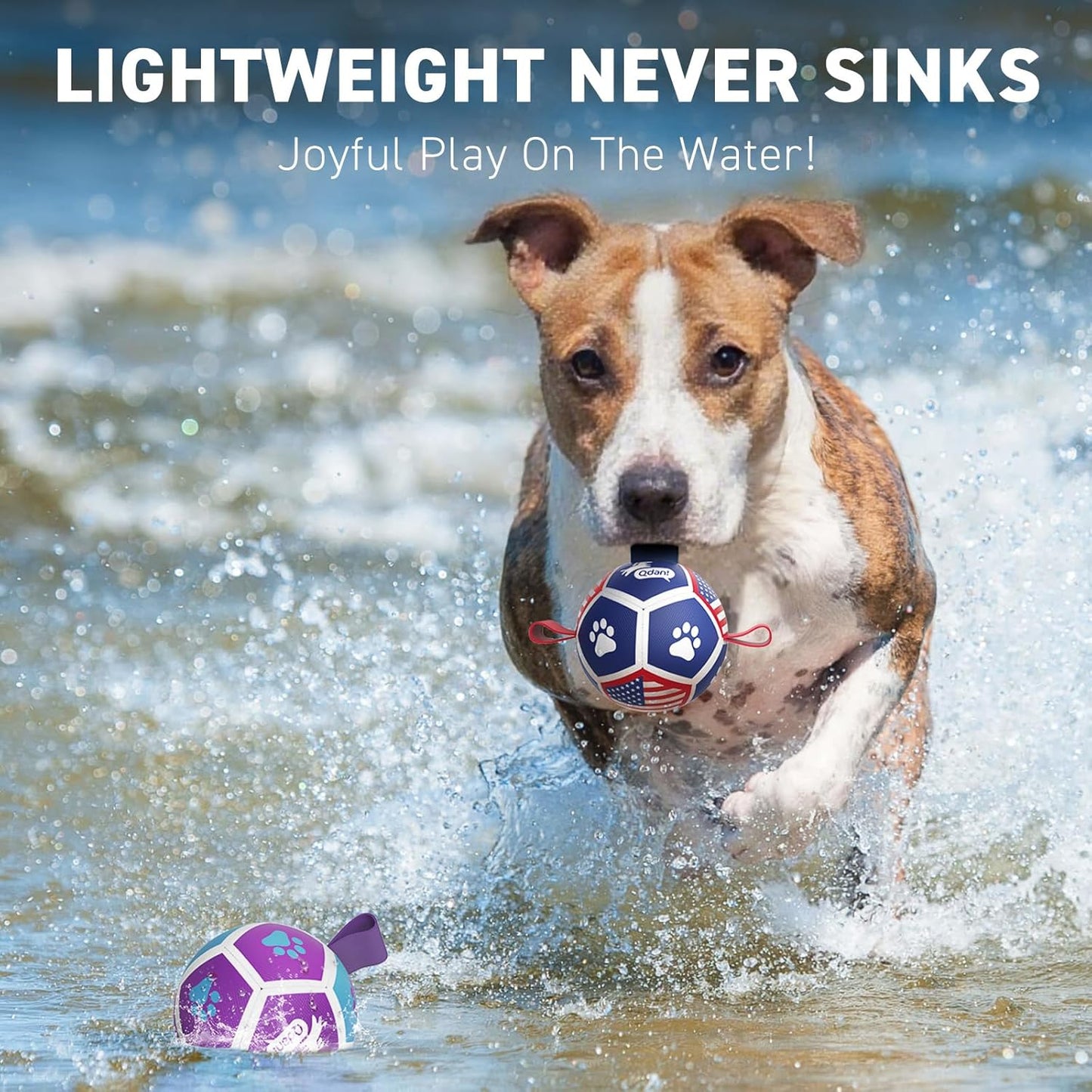 QDAN 2 Pack Small Dog Toys, Puppy Balls, Dog Balls with Straps for Small Breed, Soccer Ball for Dogs, Puppy Toys, Dog Birthday Gift (3.5 Inch)