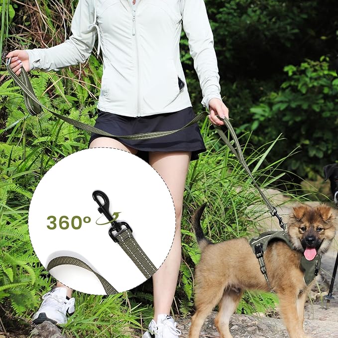 Dog Leash- 6 FT Leashes for Small to Large Dogs, Double Handle Dog Leash, Reflective Walking Training Lead (Dog Leash (Green), 6 FT Dog Leash)