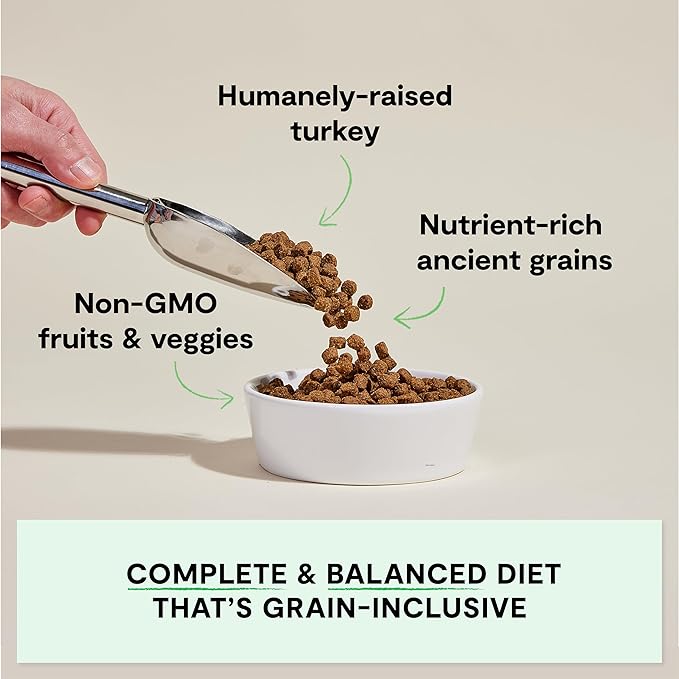 Open Farm, Ancient Grains Dry Dog Food, Protein-Rich & Nutrient Dense, 90% Animal Protein Mixed with Non-GMO Fruits, Veggies and Superfoods, Homestead Turkey Recipe, 11lb Bag