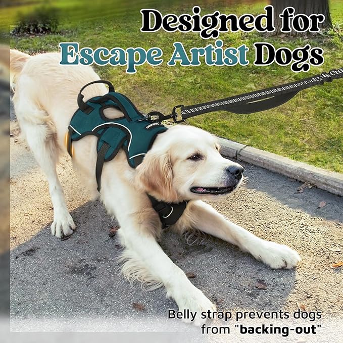 rabbitgoo Escape Proof Dog Harness Medium, Soft Padded Full Body Pet Harness, Reflective Adjustable No Pull Vest with Lift Handle and Leash Clip for Walking Hiking Training, Dark Green, M