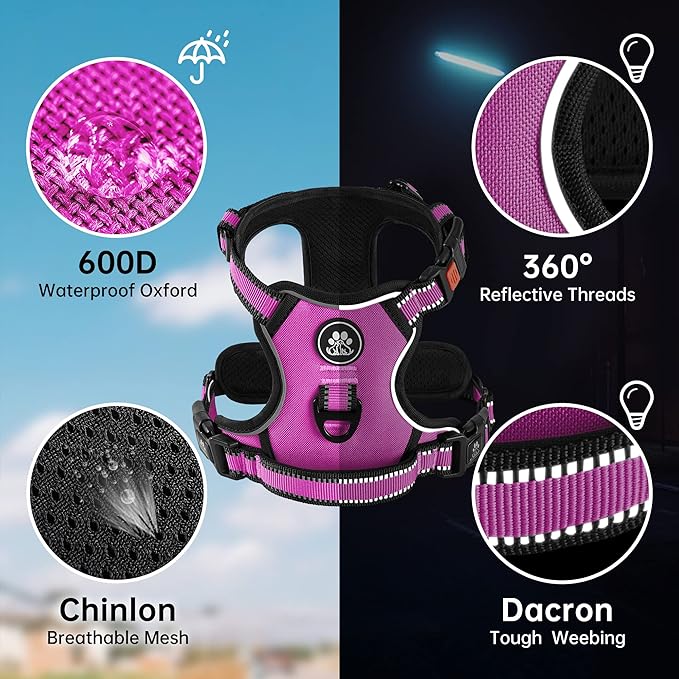 NESTROAD No Pull Dog Harness,Adjustable Oxford Dog Vest Harness with Leash,Reflective No-Choke Pet Harness with Easy Control Soft Handle for Small Dogs(Small,Fuchsia Pink)