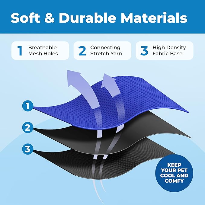 Voyager Escape Proof Cat Harness and Leash Set with Reflective Stitching, Neoprene Handle 5ft - Supports Small, Medium and Large Cats, Kittens for Walking by Best Pet Supplies - BT-Royal Blue, XXXS