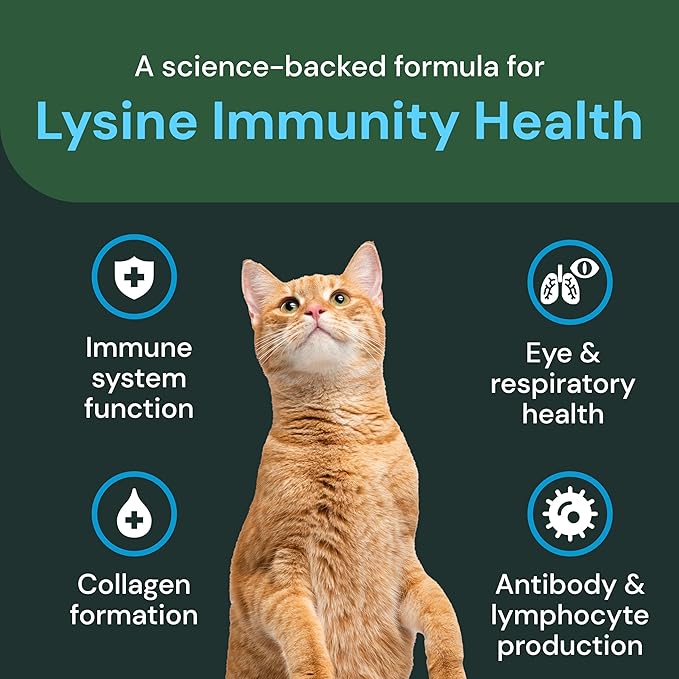 VetriScience Extra Strength Lysine Immunity Health Chews - Immunity Supplement for Cats of All Ages - Supports Immune Function, Eye Health & Cardiovascular Function - 120 Count