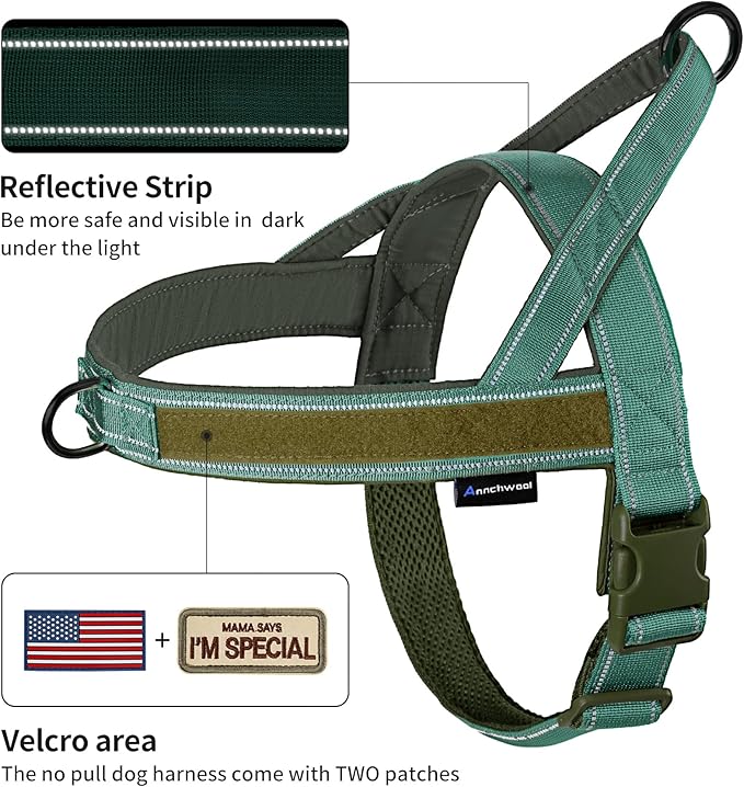 Annchwool No Pull Dog Harness with Soft Padded Handle,Reflective Strip Escape Proof and Quick Fit to Adjust Dog Harness,Easy for Training Walking for Small & Medium and Large Dogs(Green,XL)
