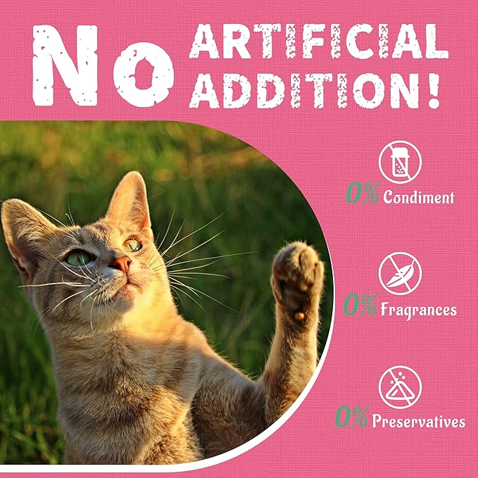 Just Try 13.4 OZ Urinary Tract Cat Treats for Indoor Cats Health Supplement Cranberry & D-Mannose for Kidney Bladder UT Support Salmon Flavor Crunchy Chews Cat Loves