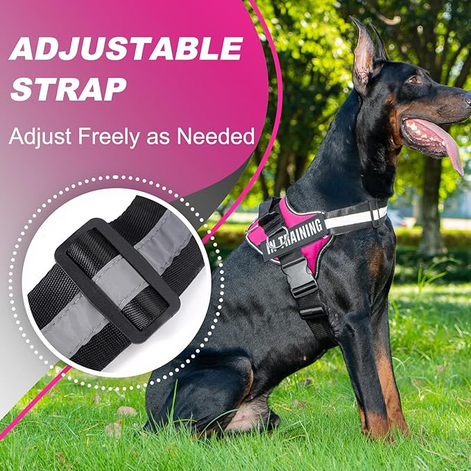 Essential Dog Harness with 3 Leash Clips - No-Pull, Adjustable, Comfortable Pet Vest Harness for Small to Large Dogs - Easy On, No Choke, Reflective, Padded Harness for Walking and Training