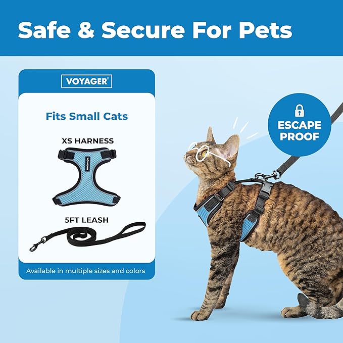 Voyager Escape Proof Cat Harness and Leash Set with Reflective Stitching, Neoprene Handle 5ft - Supports Small, Medium and Large Cats, Kittens for Walking by Best Pet Supplies - BT-Baby Blue, XS