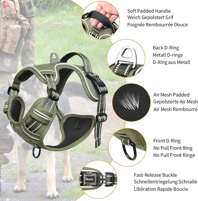 HEELE Dog Harness, Dog Harness for Small Medium Large Dogs No Pull Adjustable Padded Reflective Harness with Handle for Walking Training, Green, S