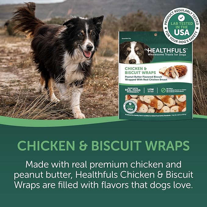 Chicken & Peanut Butter Flavored Dog Biscuits, 16oz