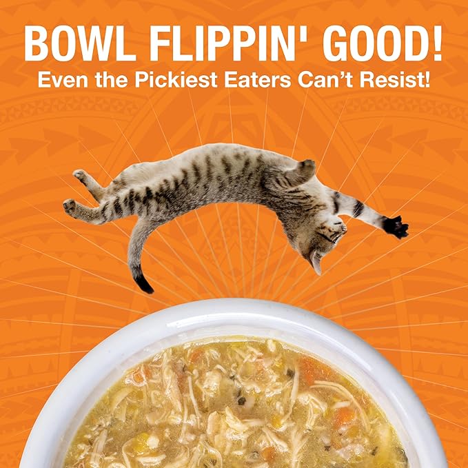 KOHA Pure Shreds Chicken Entrée for Cats, High Protein Wet Cat Food, 5.5oz Cans (Pack of 12)