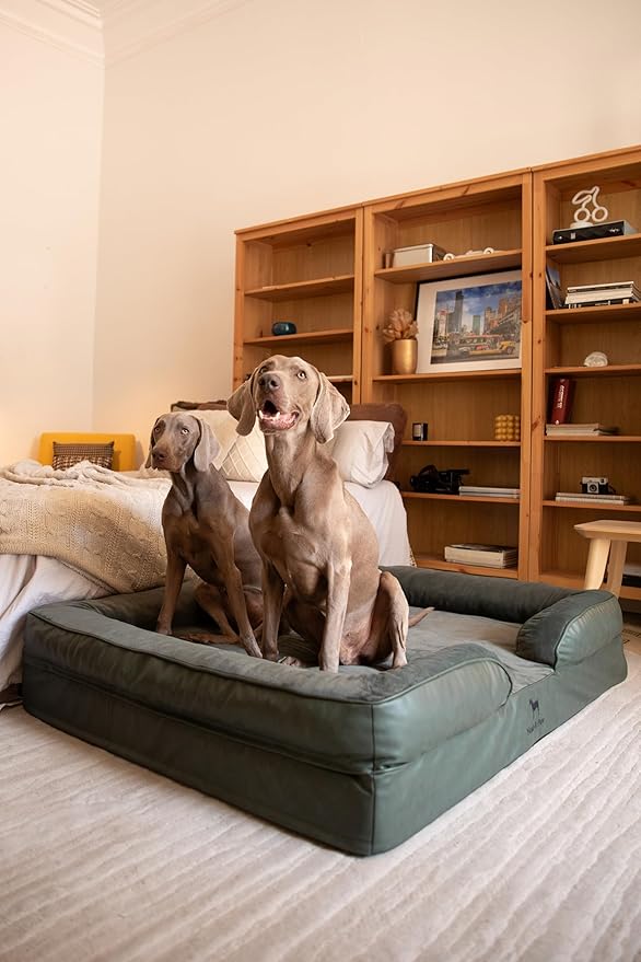 NOAH & PAW Giant Dog Bed XXL, 55x45x11 Inch, Orthopedic Dog Beds, Eggshell Memory Foam Infused with Cooling Gel, Inner Cover, Waterproof, Machine Washable (Faux Leather Sofa Collection)