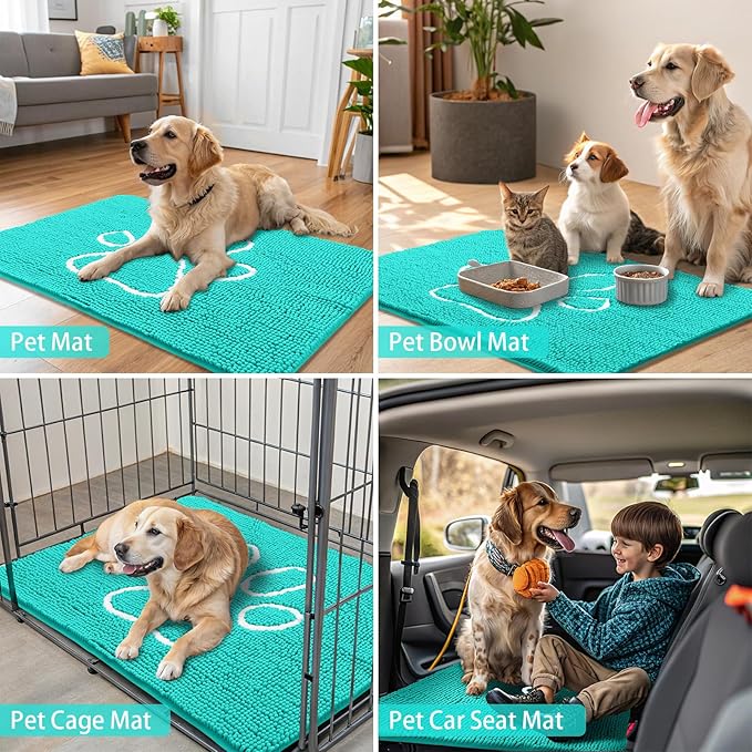 Smiry Dog Door Mat for Muddy Paws, Absorbent Dirt Trapper Non Slip Quick Dry Washable Chenille Mat for Mud Dogs, Entry Rug for Indoor and Outdoor (40x32 Inches, Turquoise)