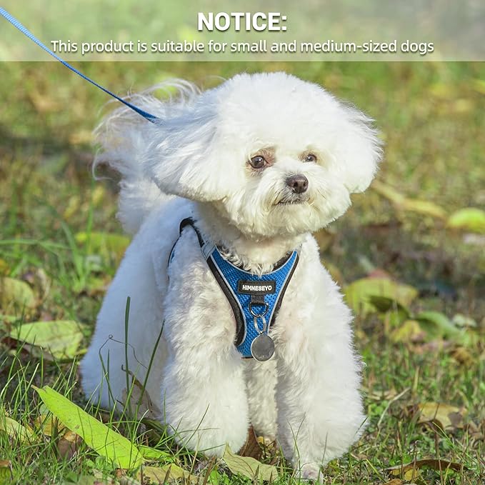 Dog Harness and Leash Set, Dog Harness for Dogs No Pull, No-Chock Step-in Reflective Breathable Lightweight Easy Walk Vest Harnesses with Safety Buckle for Small Medium Dogs, Cats (Blue, XS)