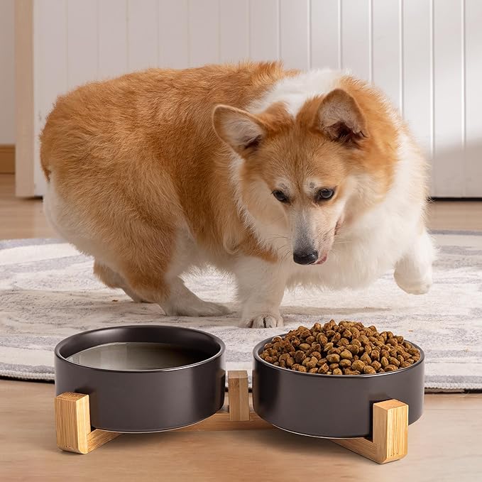 Black Ceramic Dog & Cat Bowl Set – 13.5 OZ with Wooden Stand, Non-Slip, Elevated Design for Small Dogs & Cats – 2 Bowls (Food & Water, Ceramic Pet Bowls, Modern Dog Bowls)