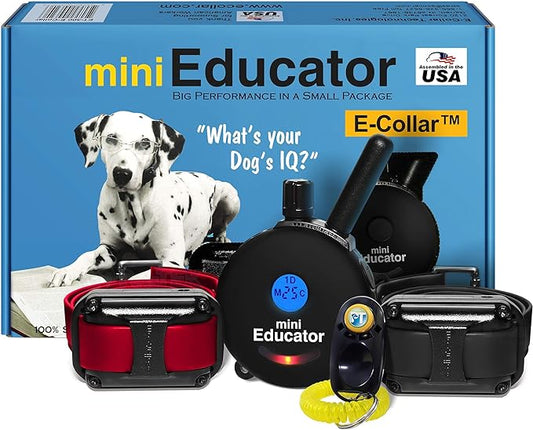Educator ET-302 BK - 1/2 Mile Rechargeable Dog Trainer Ecollar with Remote for Small, Medium, and Large Dogs by E-Collar Technologies - Electric, Vibration, Tone, and Stimulation Training Collar