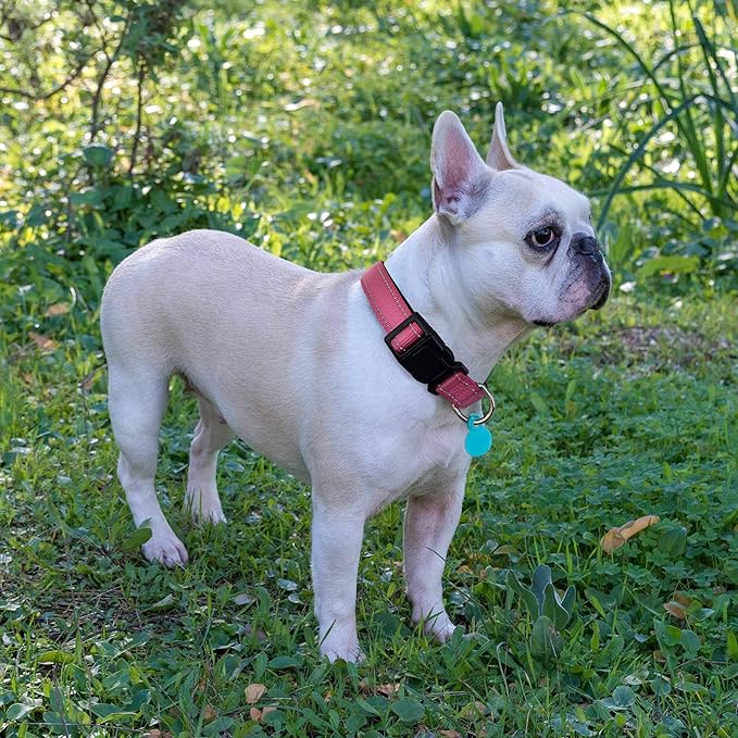 Reflective Dog Collar Padded with Soft Neoprene Breathable Adjustable Nylon Dog Collars for Small Medium Large Dogs (Large (Pack of 1), Pink Collar+Leash)