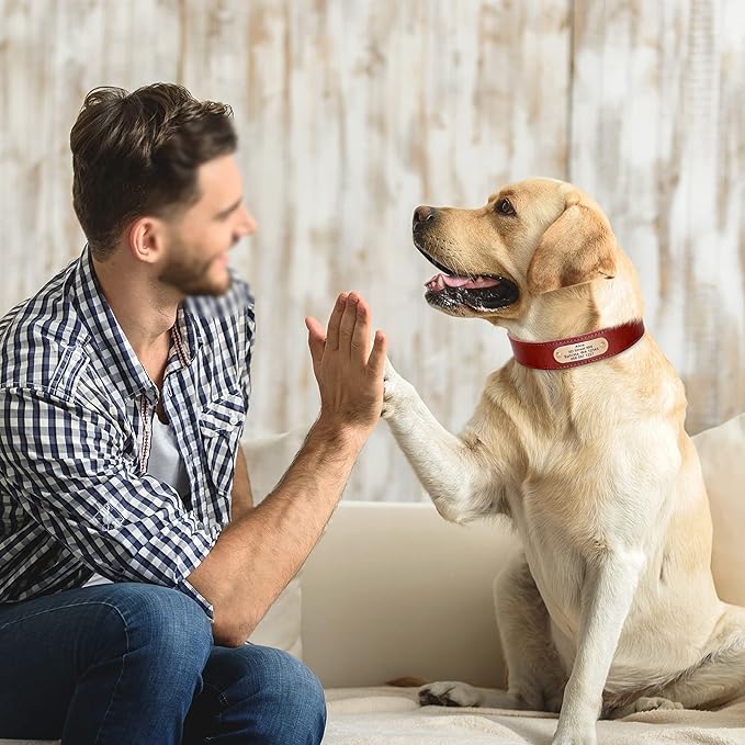 Didog Genuine Leather Dog Collars with Engraved Nameplate, Personalized Soft Leather Dog Collar with Custom ID Tag, Brown/Green/Red for Small Dogs (S,Red)