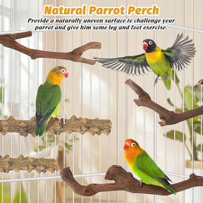 kathson 5pcs Natural Parrot Perch for Cage Wooden Bird Perches Grape Bird Stick Parakeet Climbing Standing Branches Toy Chewable Cage Accessories for Small Budgies Cockatiels Lovebirds Budgies