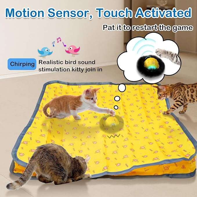 Interactive Cat Toys for Indoor Cats,Self Rolling Cat Ball in Play Mat,Automatic Motion Activated Moving Toy Hide and Seek Chase Game for Bored Cats,Real Chirp Birds,Rechargeable