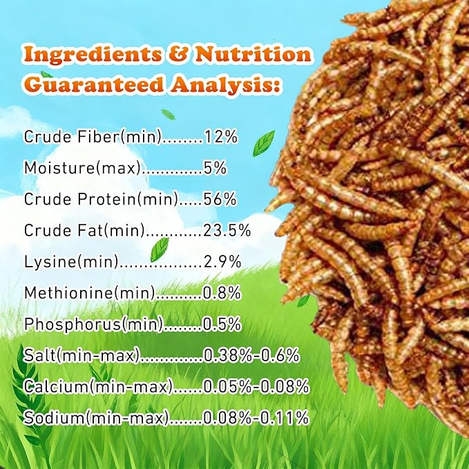 Amzey Appetizing Mealworms 5 LBS- 100% Non-GMO Dried Mealworms - Large Meal Worms - High Protein Treats- Perfect Mealworm for Chickens, Ducks, Turtles, Blue Birds, Lizards - Bag of Mealworms 5 LBS