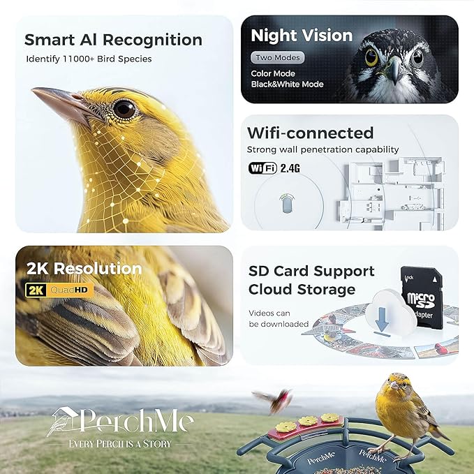 PerchMe® Smart Bird Feeder with Camera, Solar Powered Bird Watching Camera for Outside, 2K HD Auto Capture Motion Detection with AI Identify, DIY Add-ons & Seed Scoop, A Ideal Gift