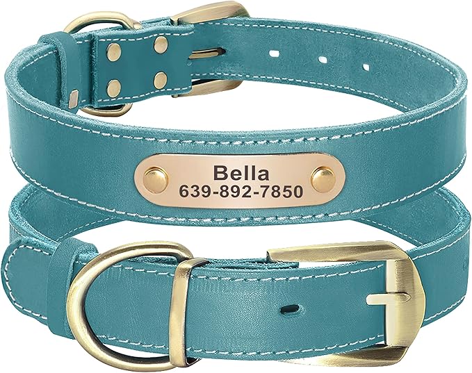 Didog Genuine Leather Dog Collars with Engraved Nameplate, Personalized Soft Leather Dog Collar with Custom ID Tag, Brown/Green/Red for Medium Large Dogs (L,Blue)