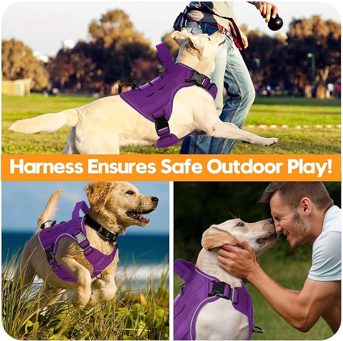 Heavy-Duty Tactical Dog Harness for Large Dogs, No Pull Adjustable Reflective Pet Vest with Molle System, K9 Military-Grade Control for Service Training, Outdoor & 10+ Breeds, Purple, Medium