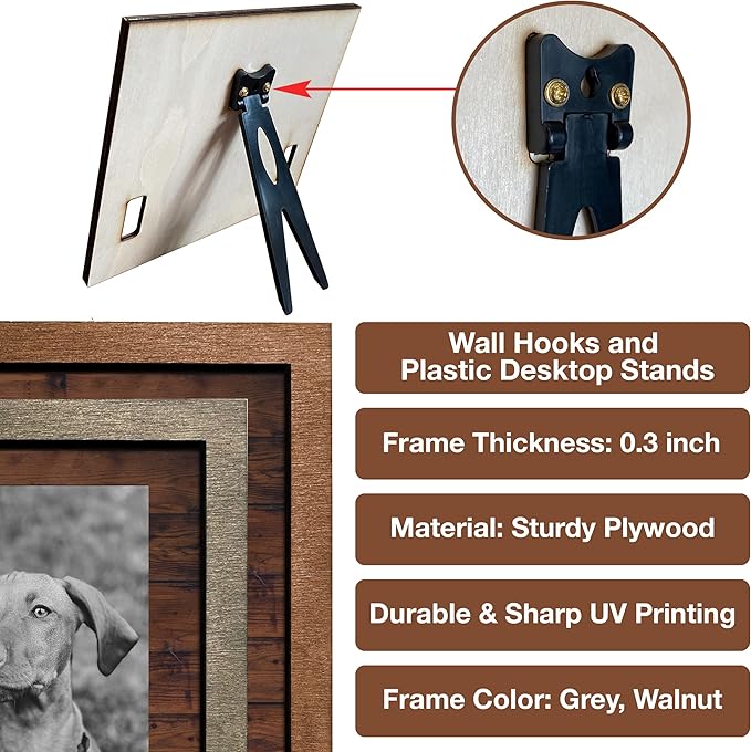 Personalized Dog Collar Frame Memorial Pet Loss Sign Dog & Cat Lover Ever Gifts With Heartfelt Sentimental Quote For Someone Who Lost A Pet Collar Keepsake Picture Frame Remembrance Decor