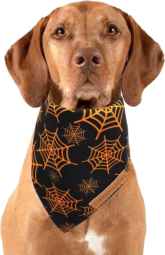 Realeaf Halloween Dog Bandanas 2 Pack, Pumpkin and Spider Web Bibs, Triangle Reversible Fall Pet Scarf, Premium Durable Fabric, Adjustable Fit (X-Large)