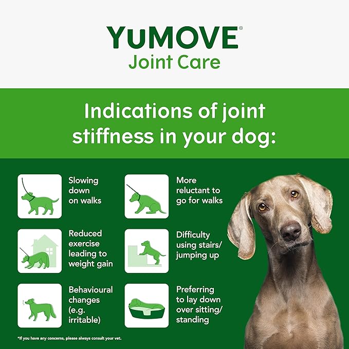 YuMOVE Hip & Joint Supplement for Dogs with Glucosamine, Hyaluronic Acid, Green Lipped Mussel & Omega 3 Joint Supplement - Regular and Advanced Strength (60ct, Chewable Tablets)
