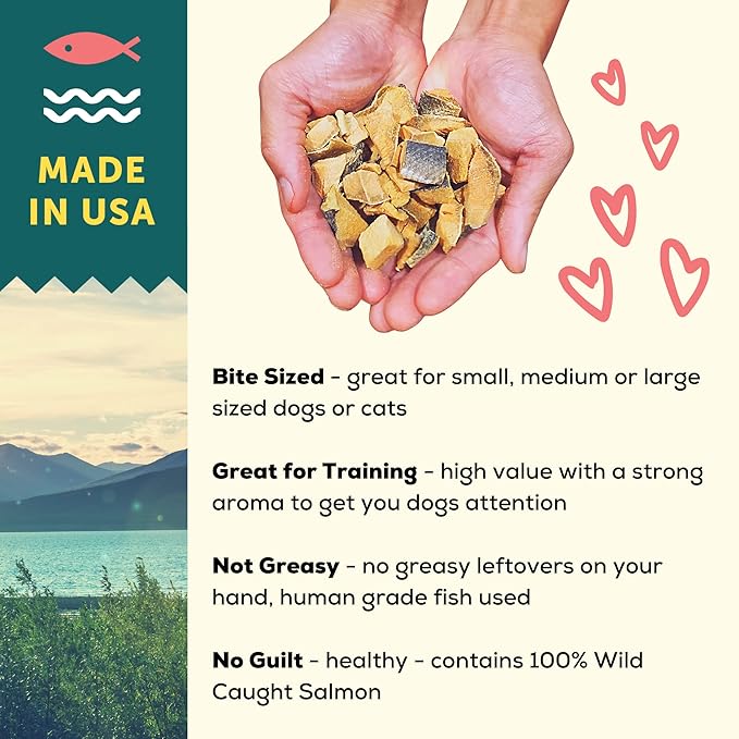 A Better Treat New Freeze Dried Salmon Dog Treats, Wild Caught, Single Ingredient | Natural High Value | Gluten Free, Grain Free, High Protein, Diabetic Friendly | Natural Fish Oil | Made in The USA