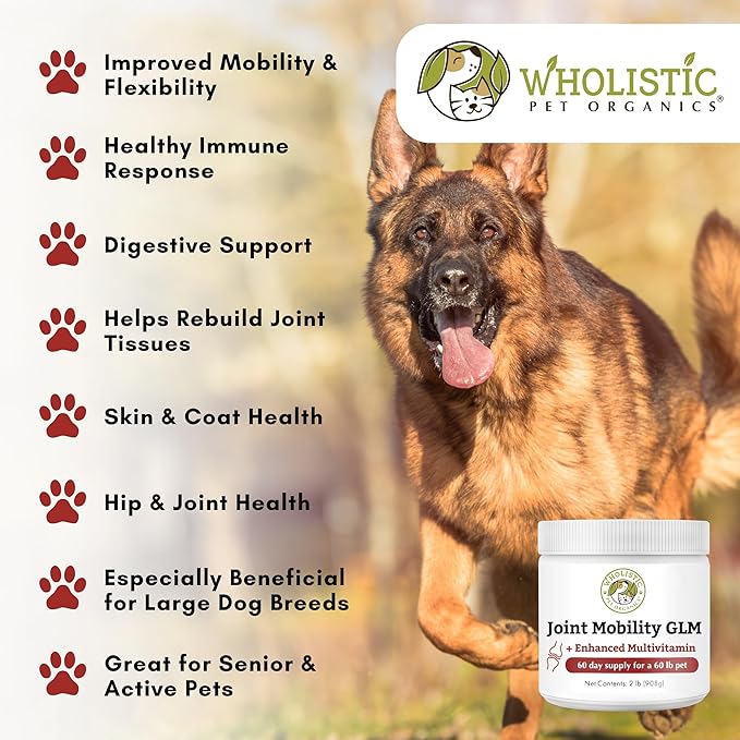Wholistic Pet Organics Joint Mobility GLM - 2 Lb - Glucosamine for Dogs and Chondroitin Supplement Green Lipped Mussels - Joint Supplement for Dogs - Arthritis Pain Reliever for Large & Small Breeds