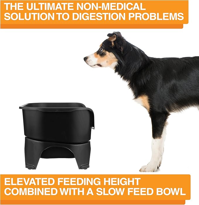 Neater Feeder - Express Model w/ Slow Feed Bowl - Mess-Proof Dog Bowls (M/L, Black) Made in USA – Elevated, No Spill, Non-Tip, Non-Slip, Raised Stainless Steel Food/Water Pet Bowls Aid Digestion