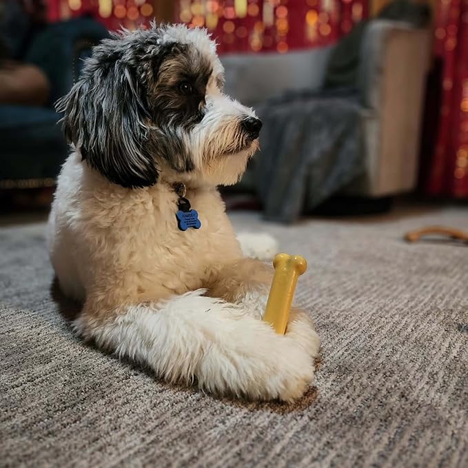 Nylabone Original Bone Power Chew Toy for Dogs, Durable & Tough Dog Toys for Aggressive Chewers, Peanut Butter Flavor, Small - Up to 25 lbs - Up to 25 Ibs, 1 Count