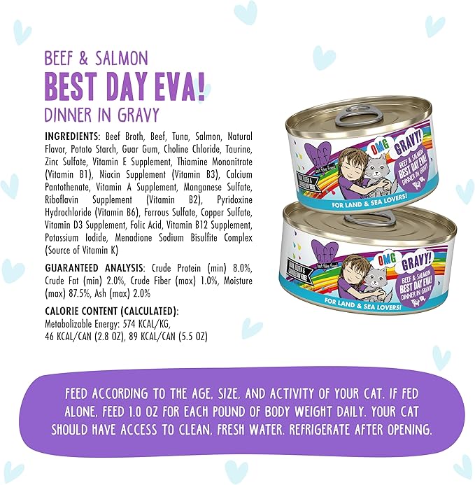 Weruva B.F.F. OMG - Best Feline Friend Oh My Gravy!, Best Day Eva! with Beef & Salmon in Gravy Cat Food, 2.8oz Can (Pack of 12)