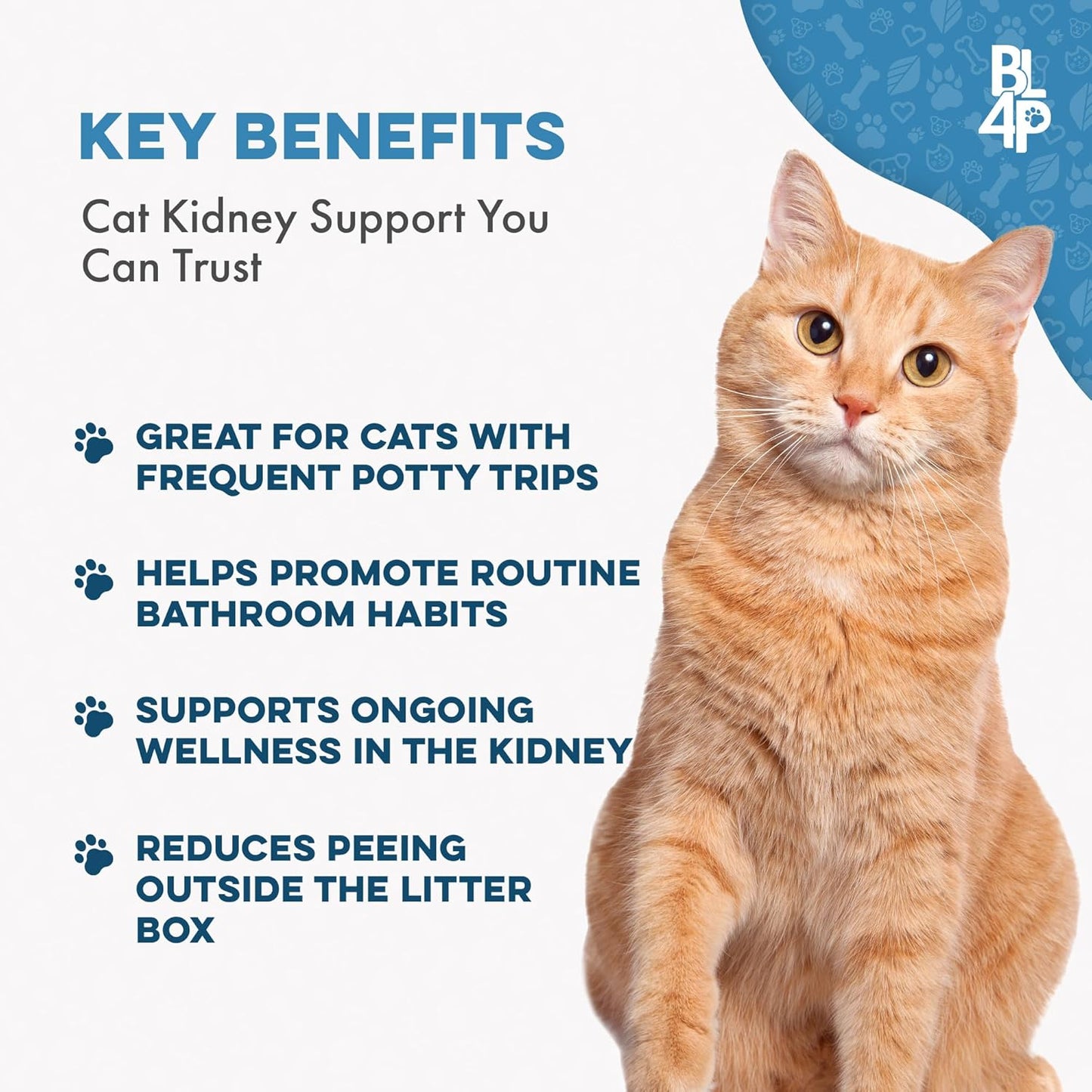 Cat UTI Remedy & Kidney Support for Cats, Natural Urinary Tract Infection and Cat Bladder Crystals Treatment Helps Flush Out Kidney Stones, Clears Infection, & Improves Kidneys Health, 400 Tiny Pills