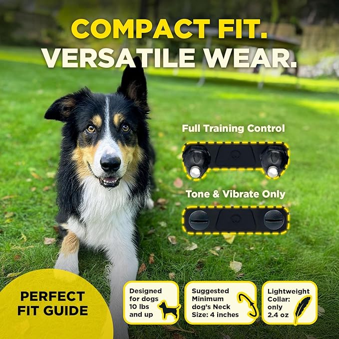 Dogtra 200iQ Remote Training E Collar – 100 Levels, Tone, Vibration, 1/2 Mile Range – Compact, Waterproof, One-Handed Control for Dogs 10 lbs+ – Lightweight Design for Daily Training – Lavender