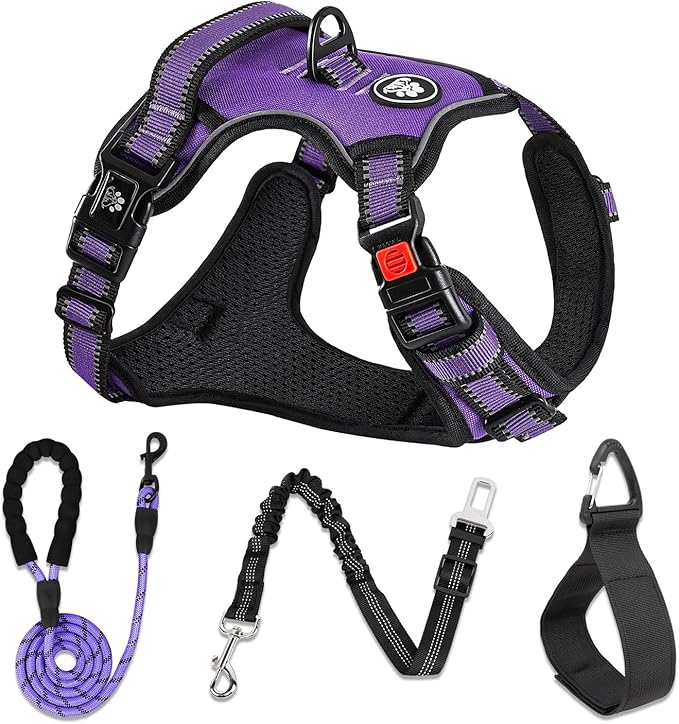 NESTROAD No Pull Dog Harness,Adjustable Oxford Dog Vest Harness with Leash,Reflective No-Choke Pet Harness with Easy Control Soft Handle for Large Dogs(Large,Purple)