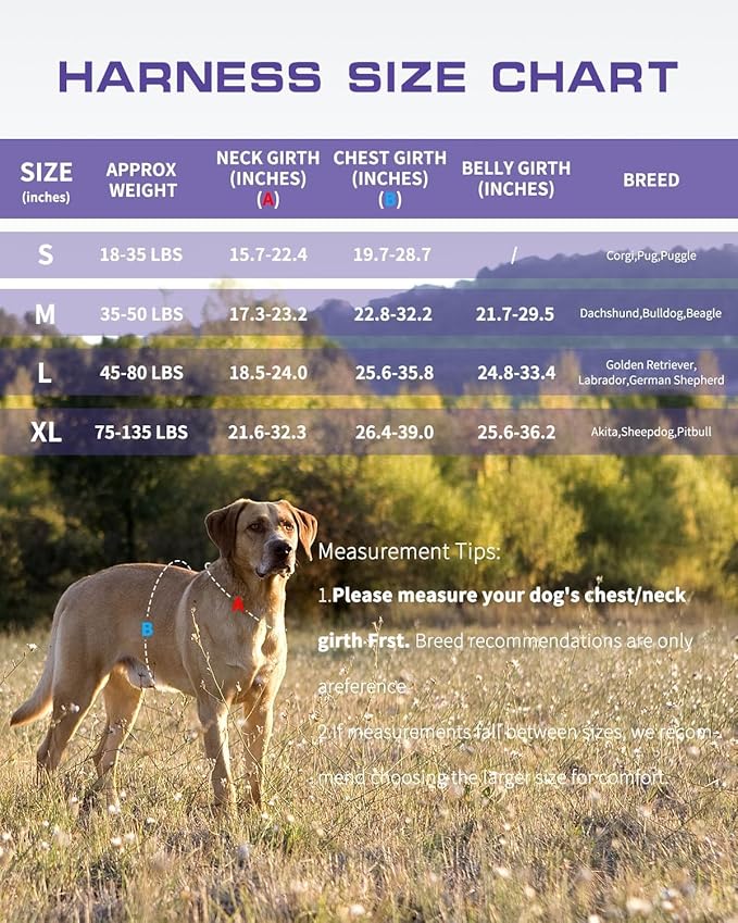 Dog Harness for Large Dogs Heavy Duty, No Pull Tactical Dog Harness with Molle System, Easy On and Off Service Dog Vest, Breathable Padded, Adjustable Reflective Pet Vest for Walking Hiking Training