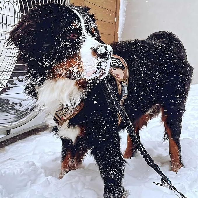 Auroth Tactical Dog Harness for Large Dogs No Pull Adjustable Pet Harness Reflective K9 Working Training Easy Control Pet Vest Military Service Dog Harnesses Desert Camo XL