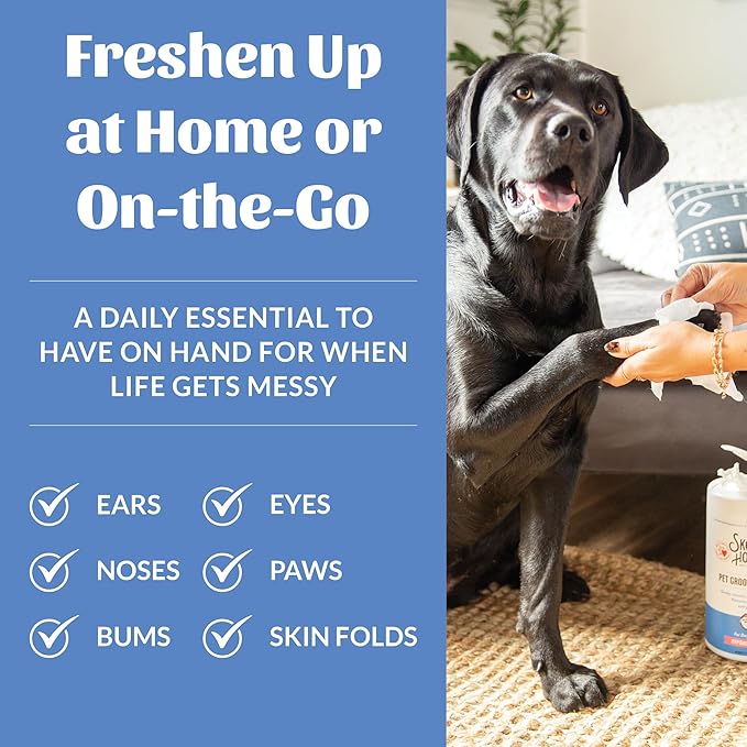 SKOUT'S HONOR Pet Grooming Wipes for Dogs and Cats - Deodorizing, Plant-Based, Biodegradable, Fragrance-Free - for Paws, Faces, Skin Folds & Bums, 80 Count