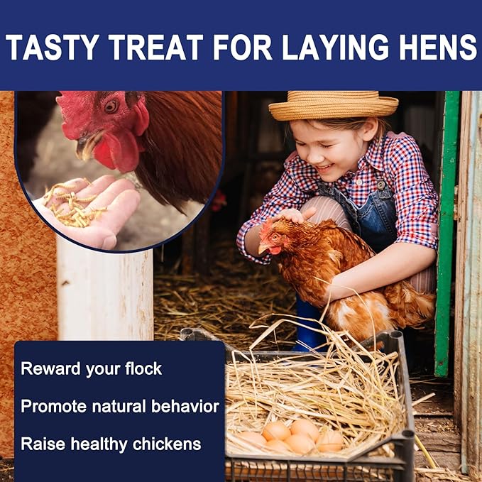 RANZ 20LBS Non-GMO Dried Mealworms for Chickens, High Protein Meal Worms, Premium Chicken Feed, Whole Large Mealworms for Blue Birds, Ducks, Fish