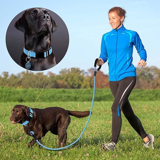 Reflective Dog Collar Padded with Soft Neoprene Breathable Adjustable Nylon Dog Collars for Small Medium Large Dogs (X-Small (Pack of 1), Vivid Blue Collar+Leash)