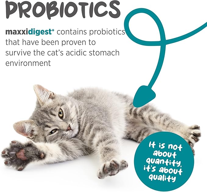 maxxipaws maxxidigest+ Prebiotic & Probiotic for Cats 7oz | Cat Probiotic Powder with Advanced Digestive Enzymes for Gut Health & Immunity | Supports Digestion, Food Sensitivities & Itchy Skin
