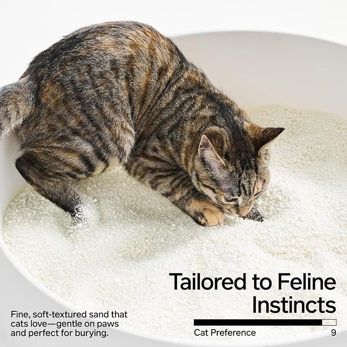 pidan Cassava Cat Litter clumping,Odor Control,Plant-Based Natural Ingredients,Ultra Absorbent and Fast Drying,No Dust,Unscented(5.3lb×1bag)