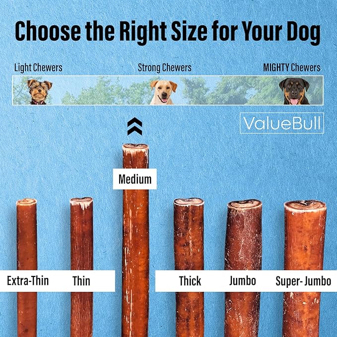 ValueBull Bully Sticks for Dogs, Medium 6 Inch, 400 Count Wholesale Pack - All Natural, Grass Fed, Single Ingredient, Long Lasting Dog Treats