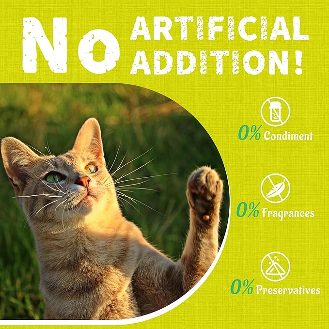 Just Try 13.4 OZ Cat Multivitamin Crunchy Chews Treats for Health and Immune Cat Joint Support Skin & Coat & Digestion Vitamins Supplements Biscuits Snacks