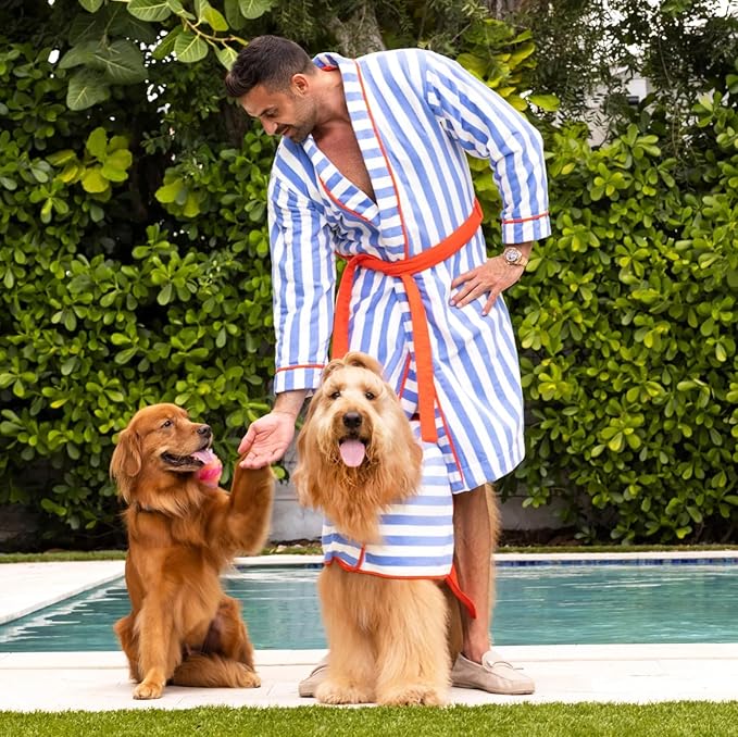 Floof by Brodie Dog Grooming Slicker Wire Brush: Designed for Long Haired Dog Breeds - Dematting and Deshedding, Comfortable and Easy to Use, Ergonomic Handle - Small (Teal, Small)