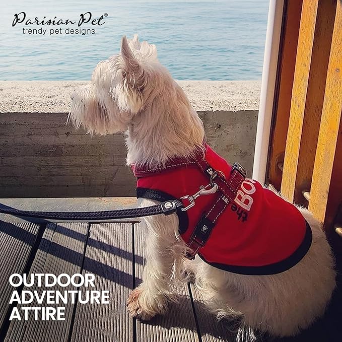 Parisian Pet Dog T-Shirt with Embroidered 'The Boss' - Lightweight Dogs Shirt - Sleeveless Dog Outfit Boss - Clothes for Medium-Sized Dogs, M