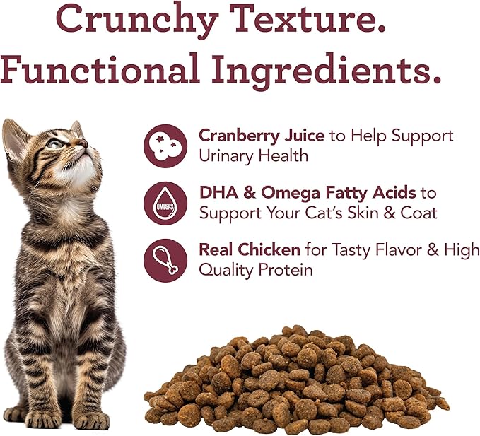 Get Naked Urinary Cat Health Treats with Cranberry & Real Chicken 6oz | Crunchy, Grain-Free, Natural Urinary Tract & Dental Care | Supports UT Support & Fresh Breath | Made in The USA
